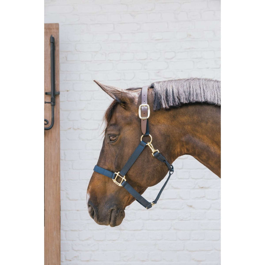 Kentucky Halter Nylon Breakaway Navy