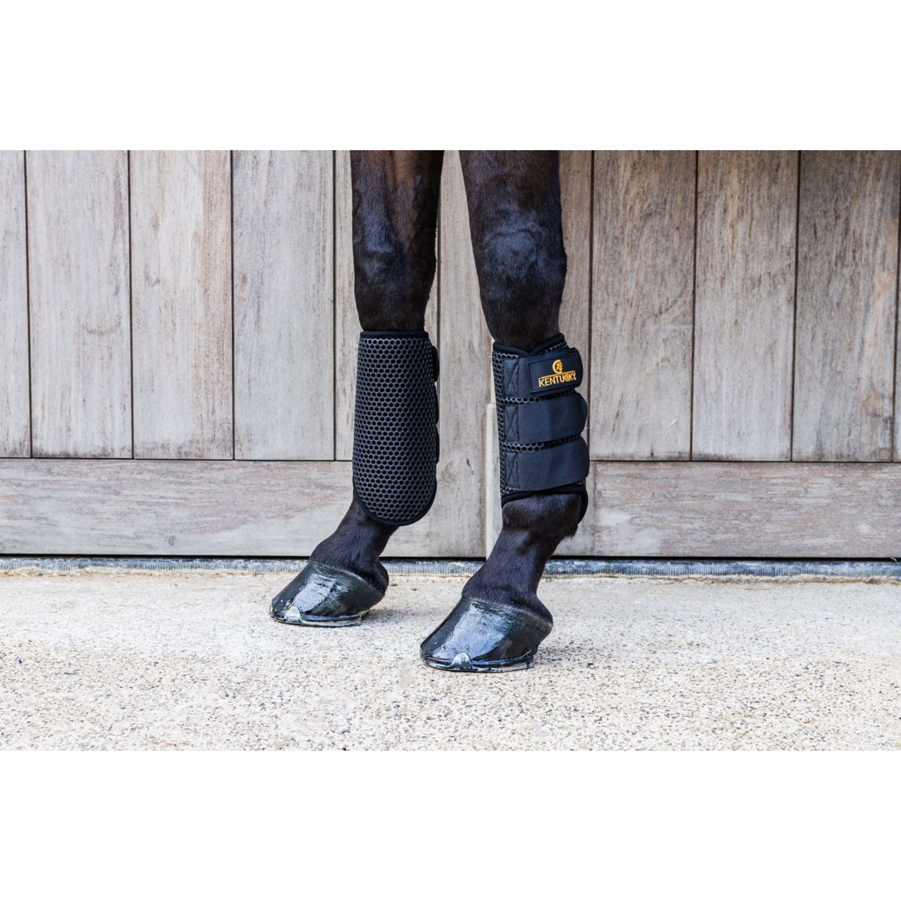 Kentucky Turnout Boots ProAIR