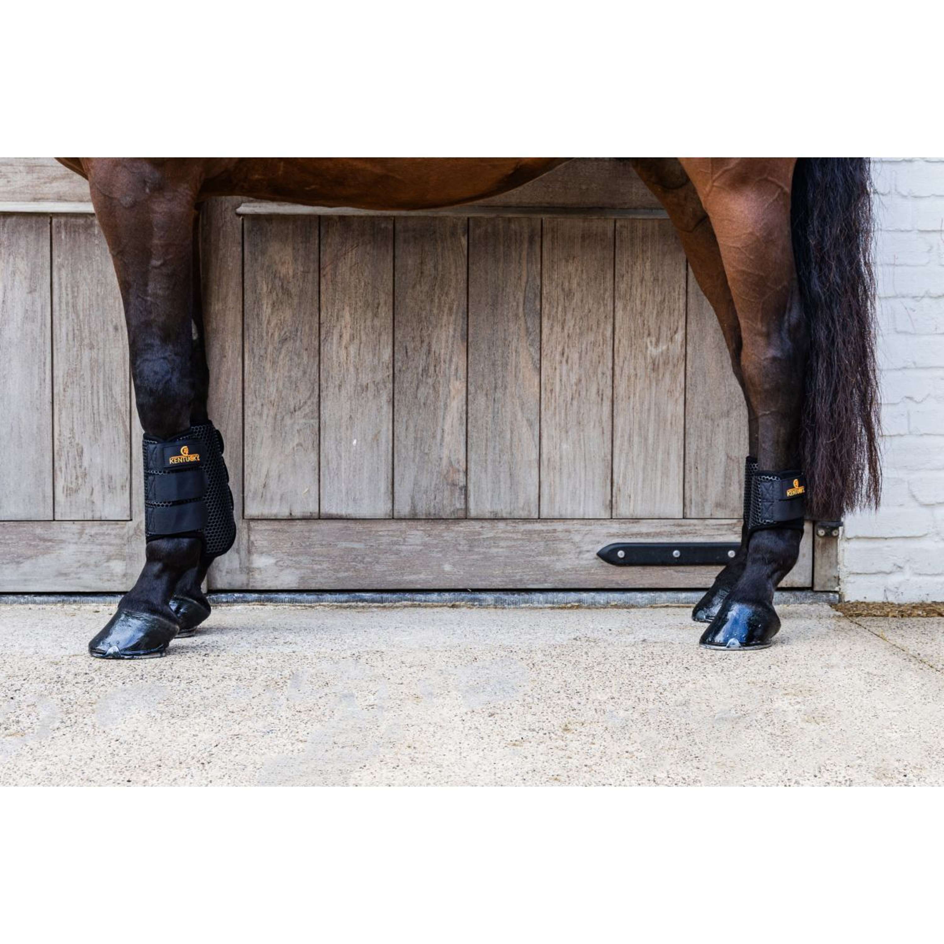 Kentucky Turnout Boots ProAIR Short