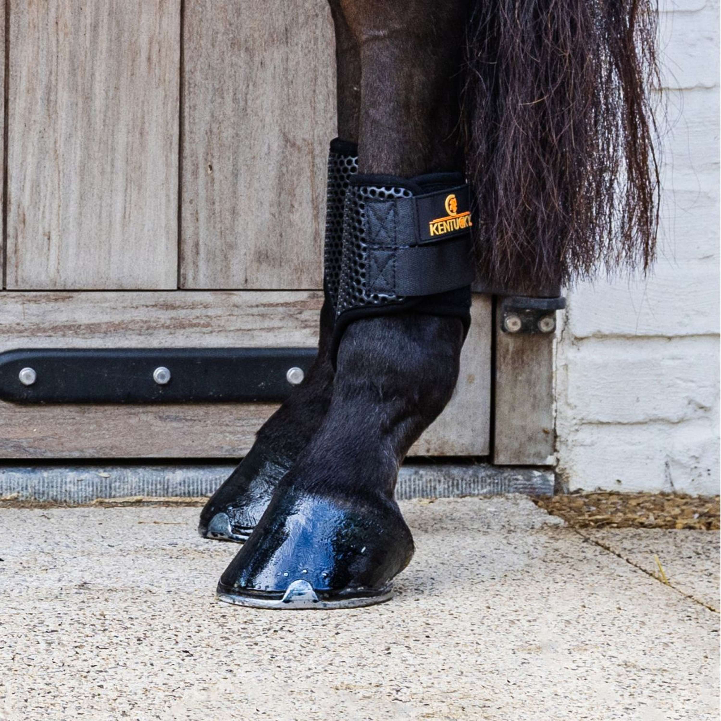 Kentucky Turnout Boots ProAIR Short