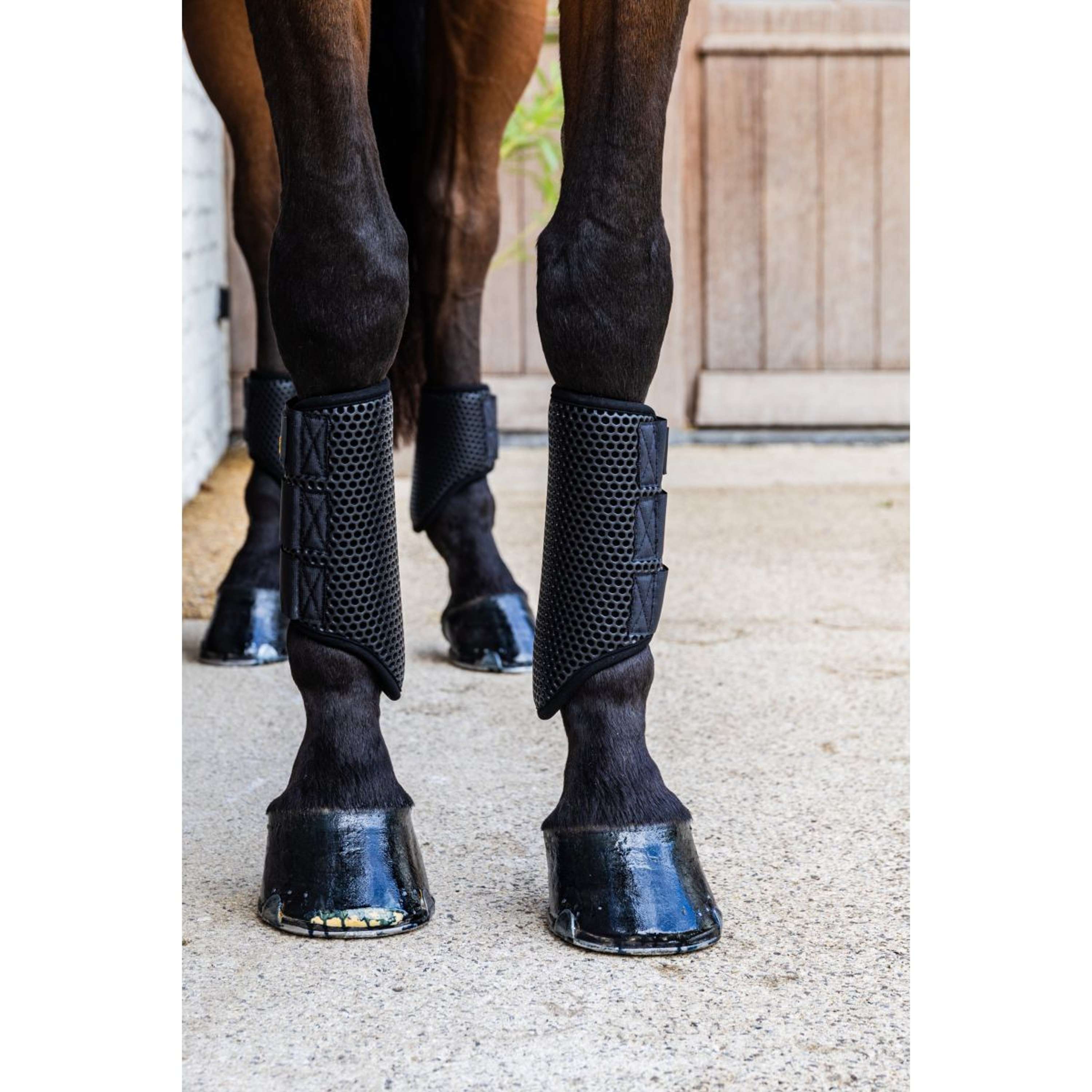Kentucky Turnout Boots ProAIR