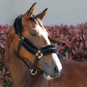 Kentucky Head Collar Nylon Sheepskin Black