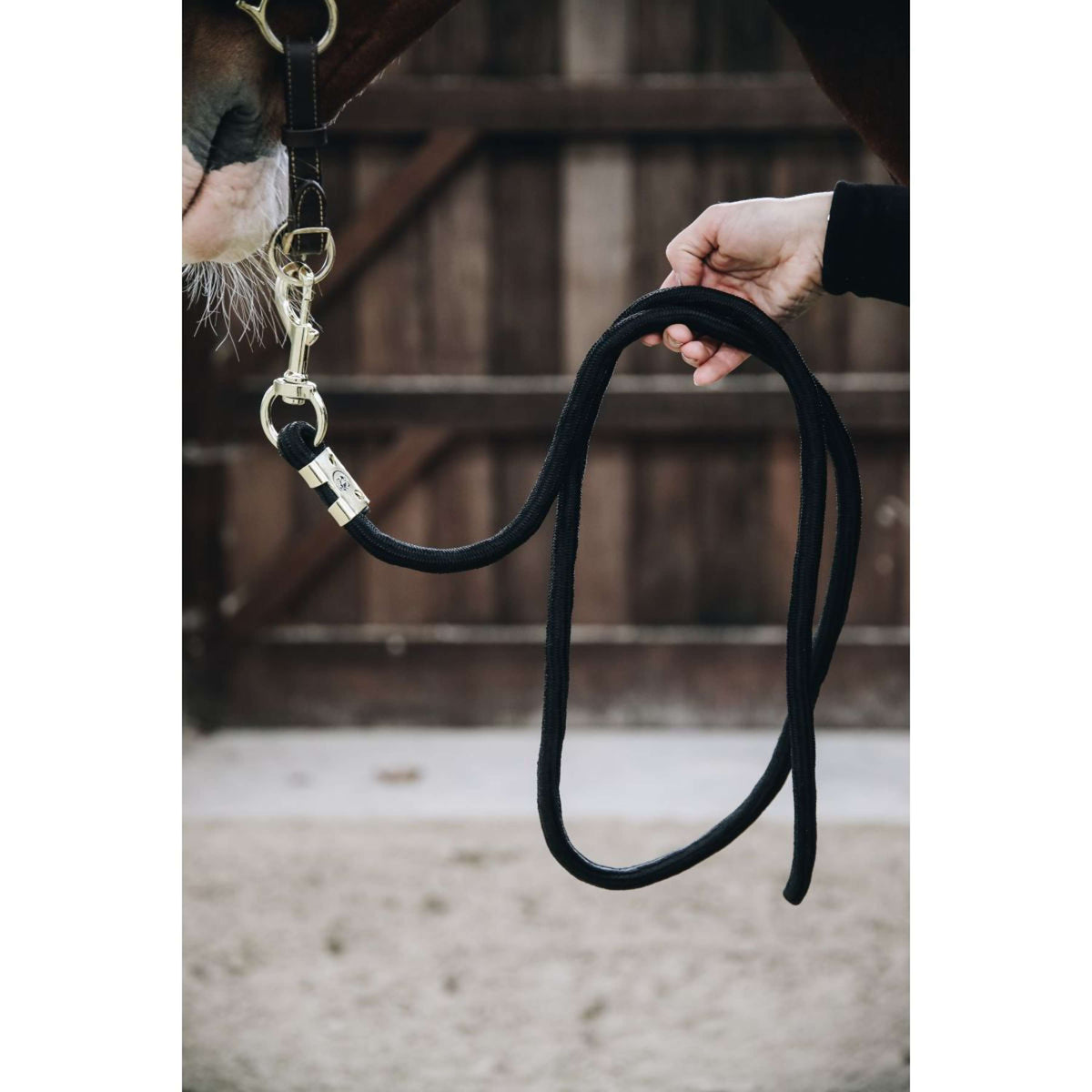 Kentucky Lead Rope Basic Black
