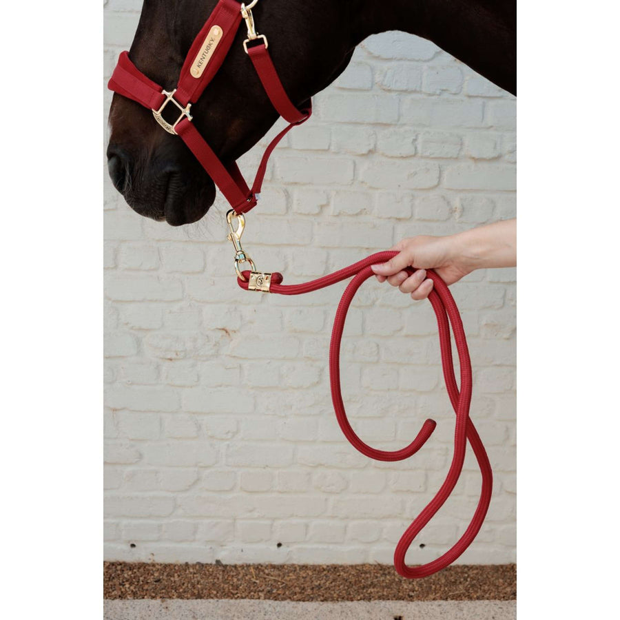 Kentucky Lead Rope Basic Red