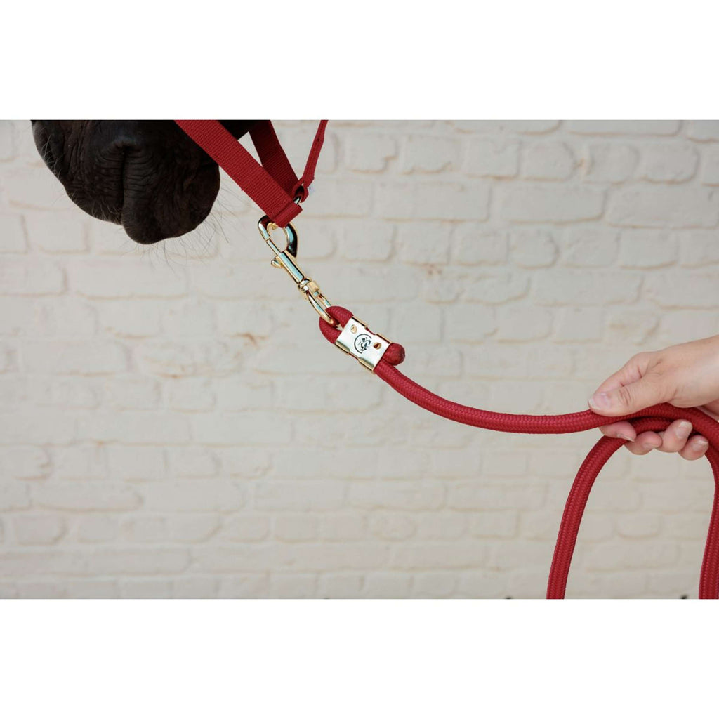 Kentucky Lead Rope Basic Red