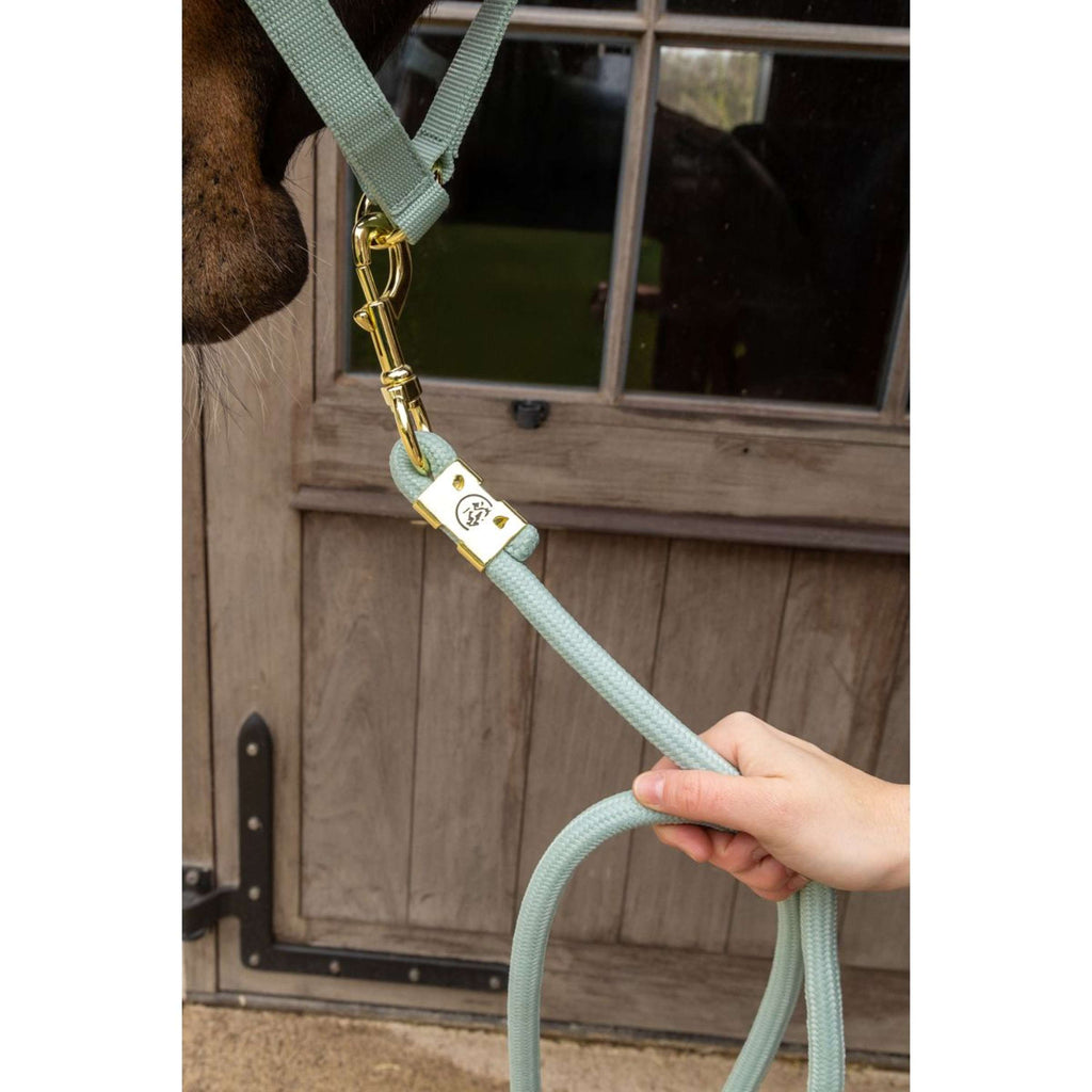 Kentucky Lead Rope Basic Mint