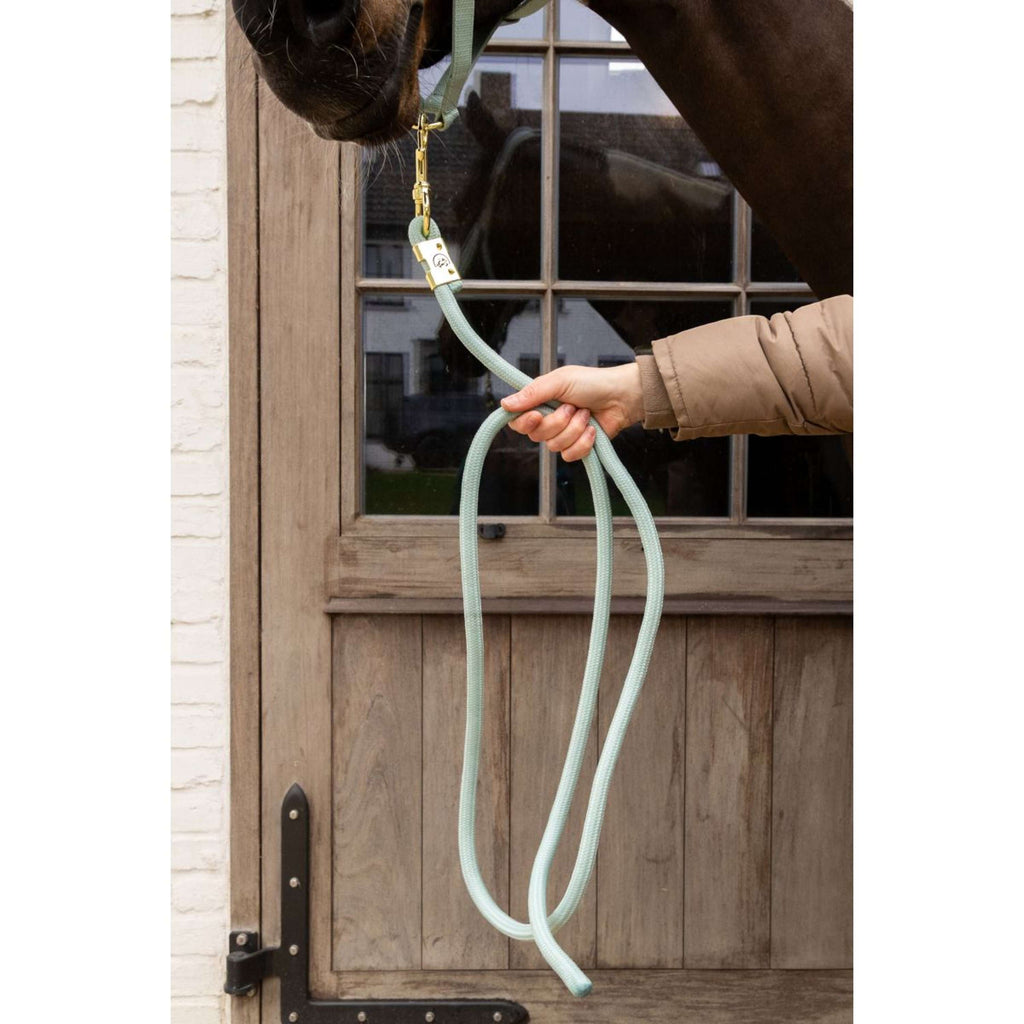 Kentucky Lead Rope Basic Mint