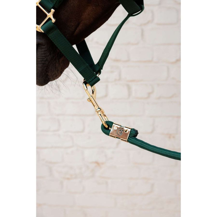 Kentucky Lead Rope Basic Pine Green