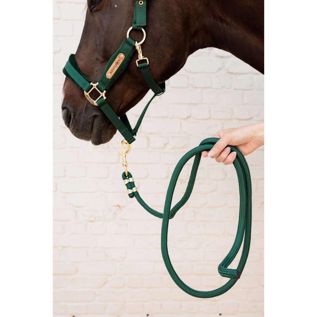 Kentucky Lead Rope Basic Pine Green
