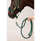 Kentucky Lead Rope Basic Pine Green
