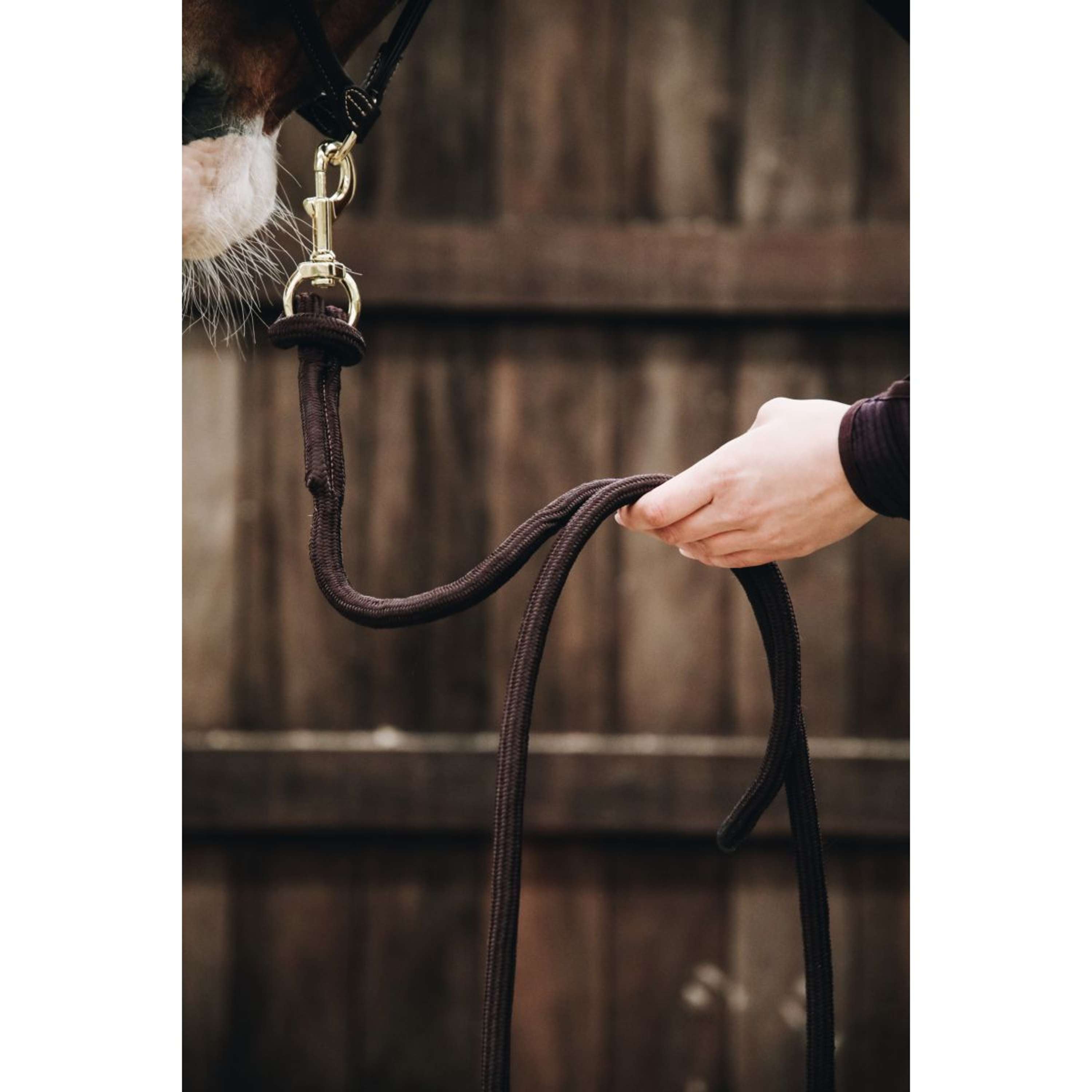 Kentucky Lead Rope Loop Brown