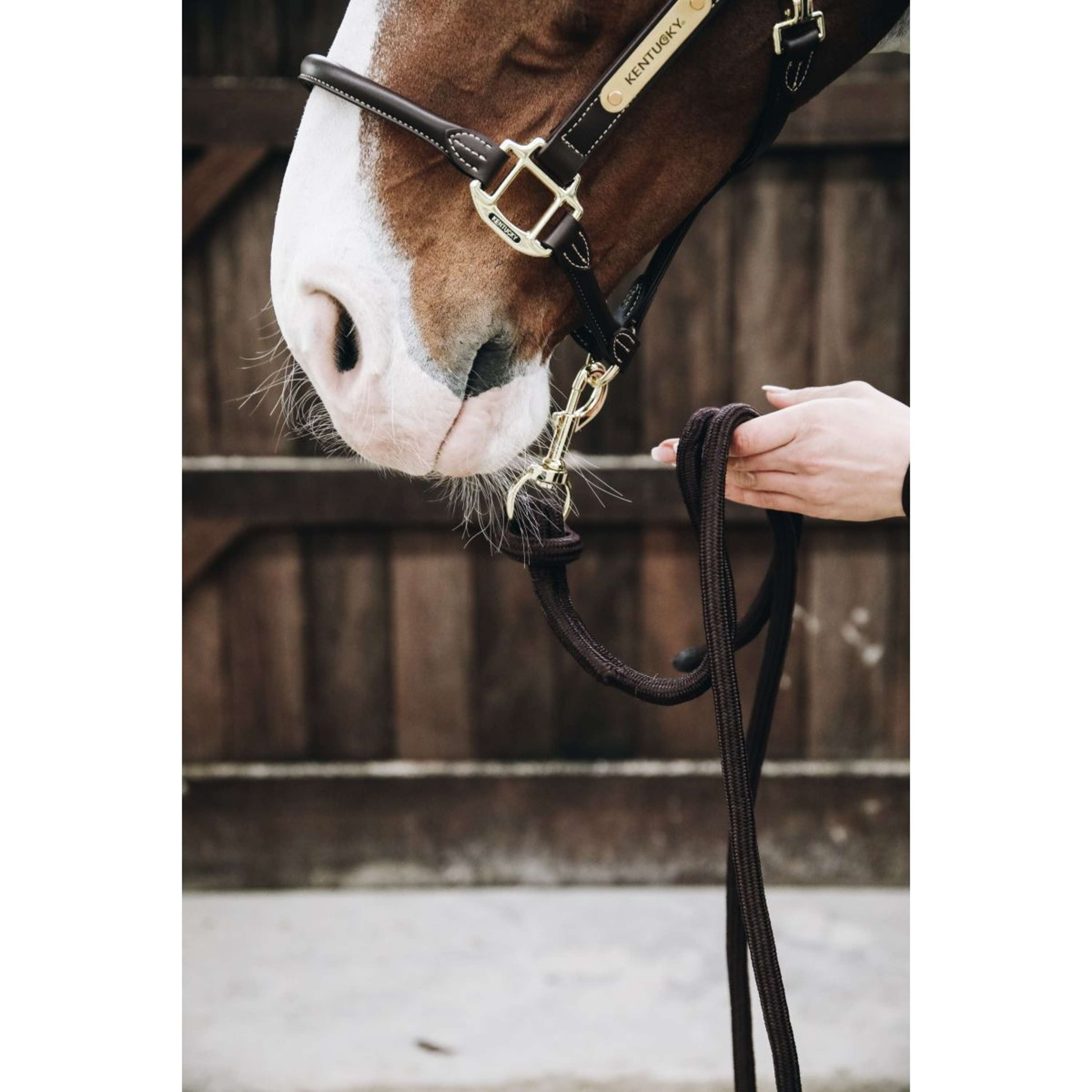 Kentucky Lead Rope Loop Brown