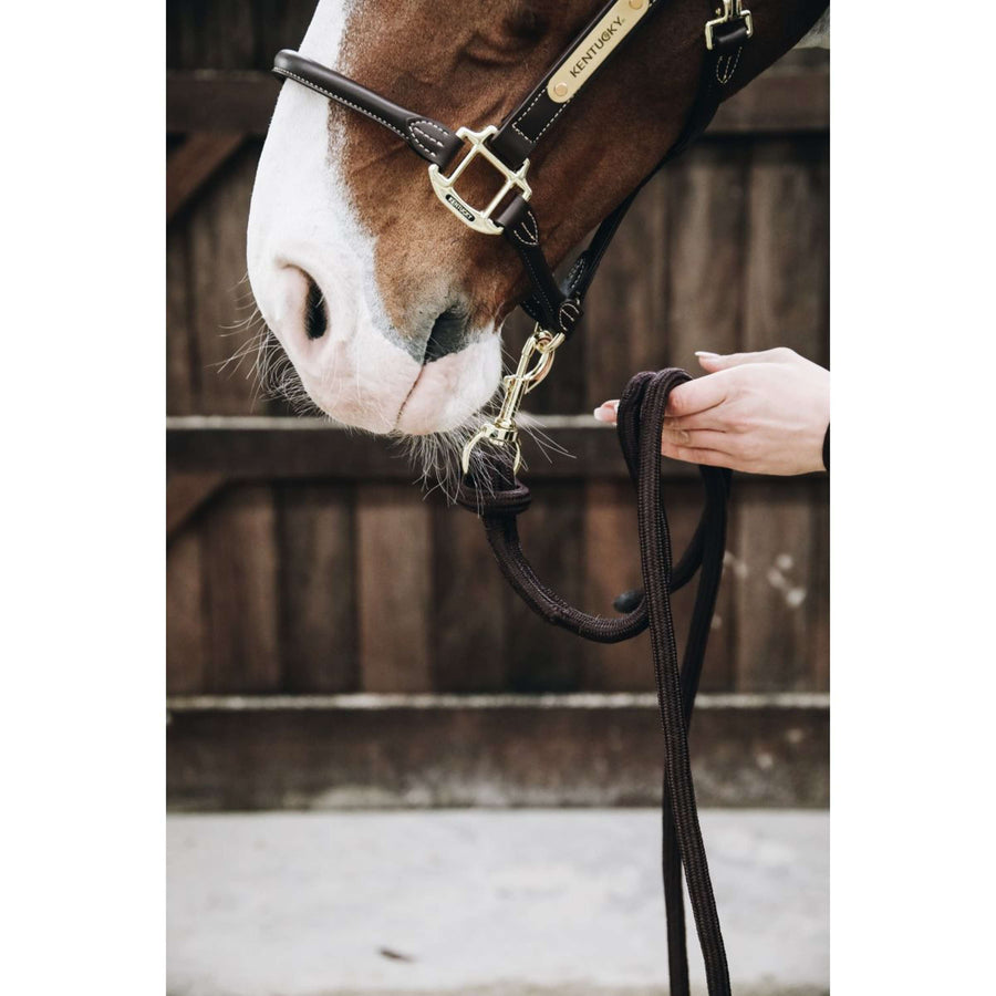 Kentucky Lead Rope Loop Brown