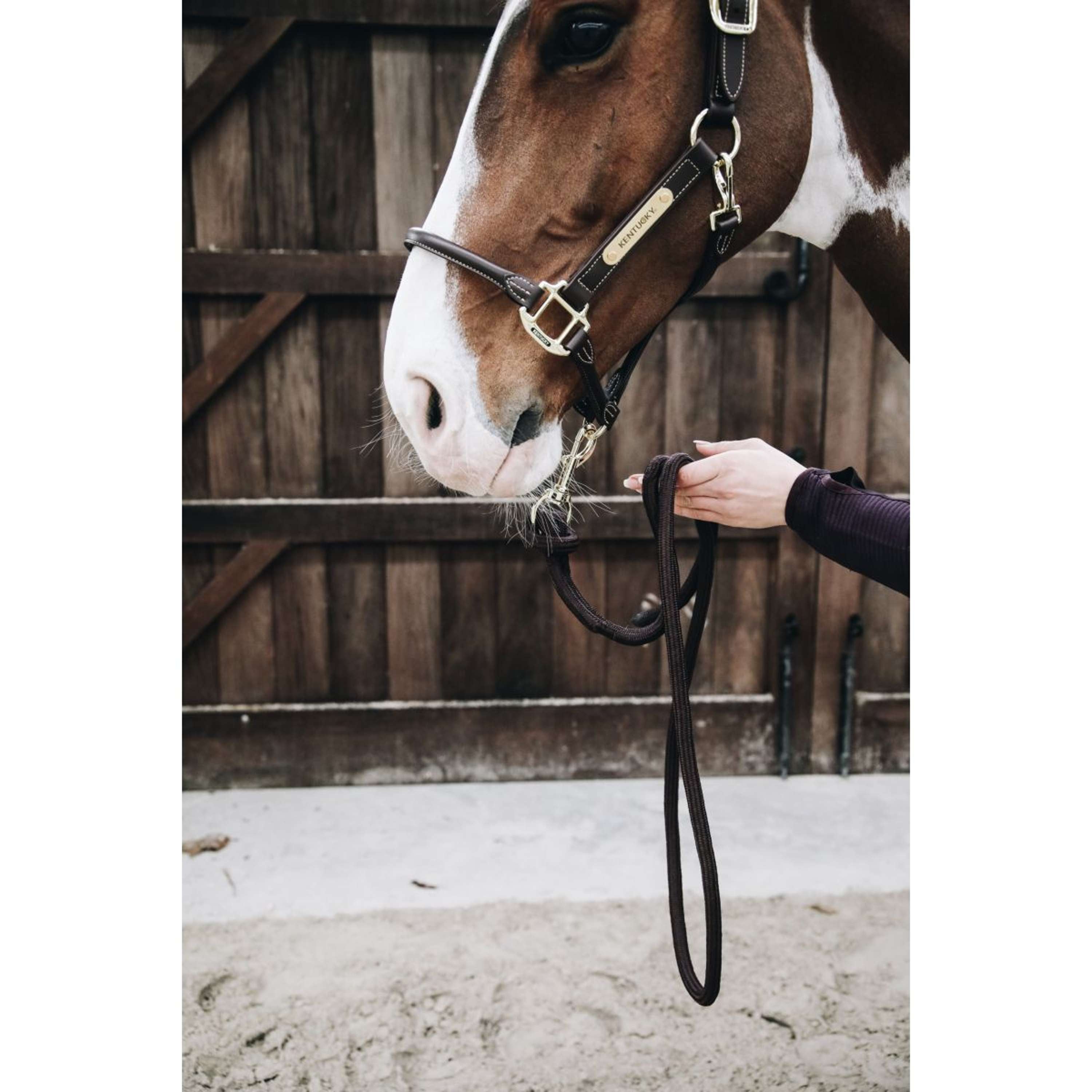 Kentucky Lead Rope Loop Brown