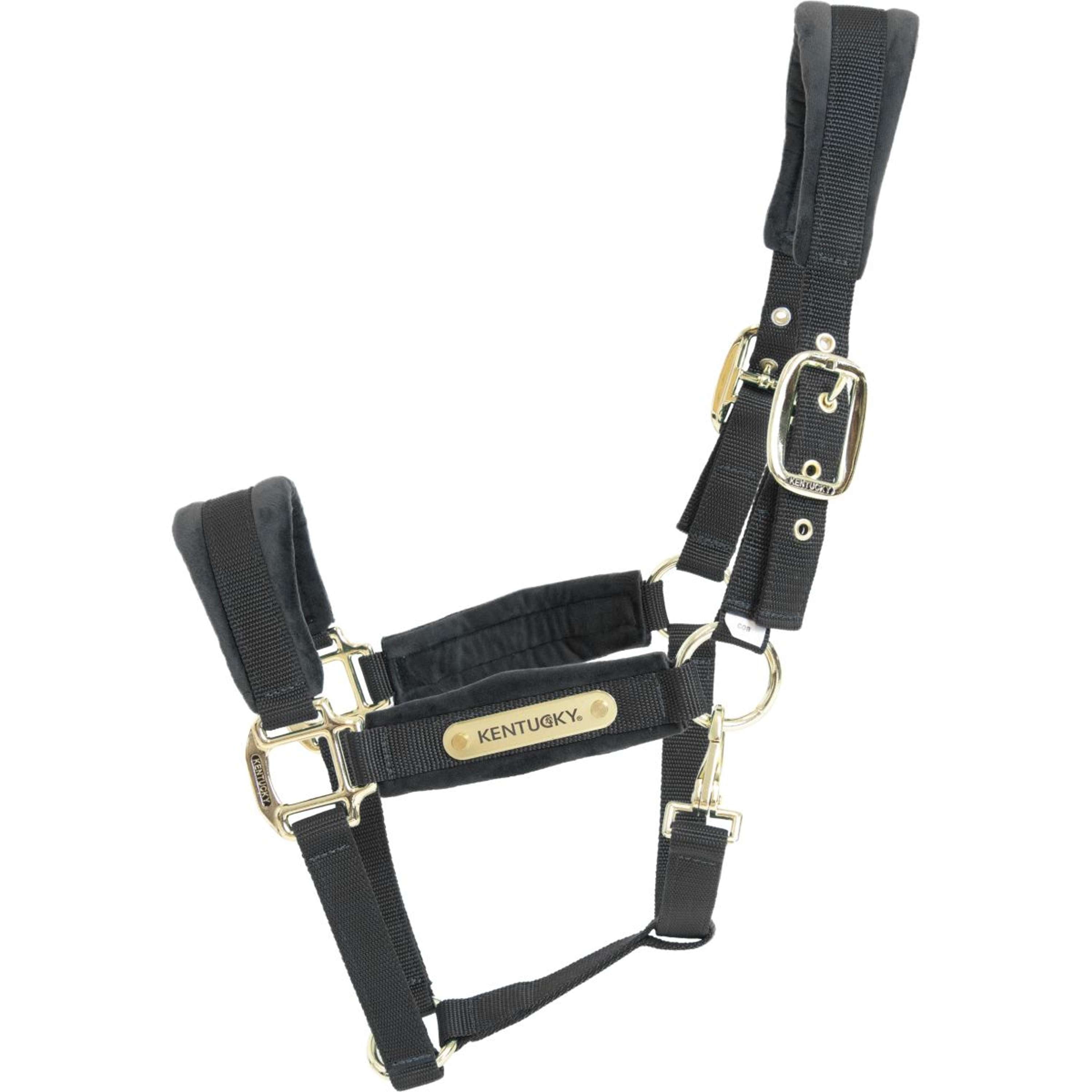 Kentucky Halter Velvet Black