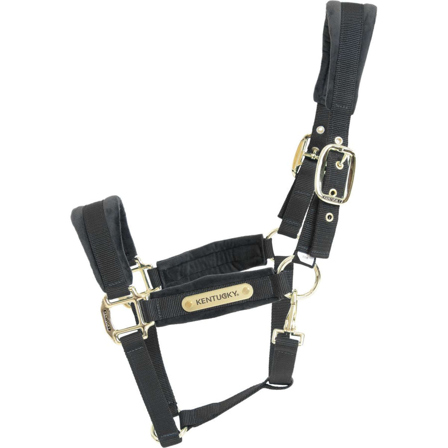 Kentucky Halter Velvet Black