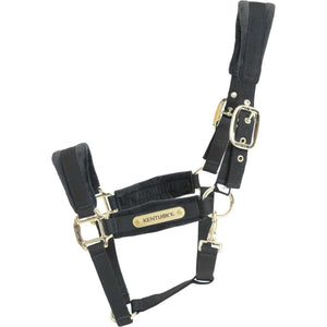 Kentucky Halter Velvet Black