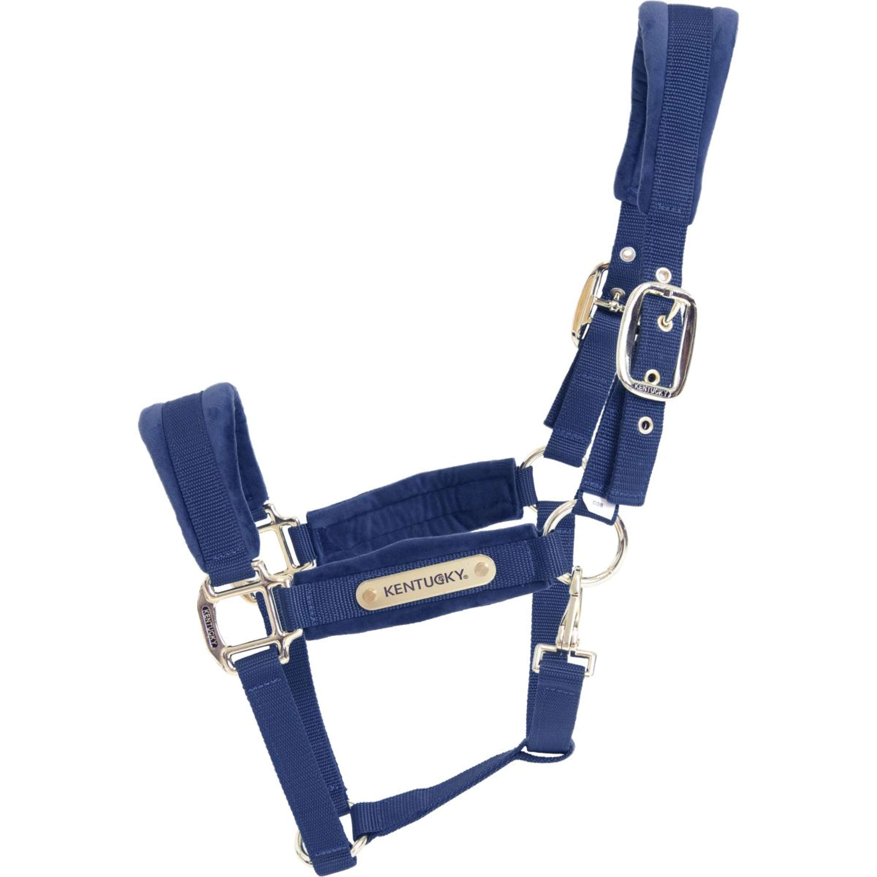 Kentucky Halter Velvet Navy