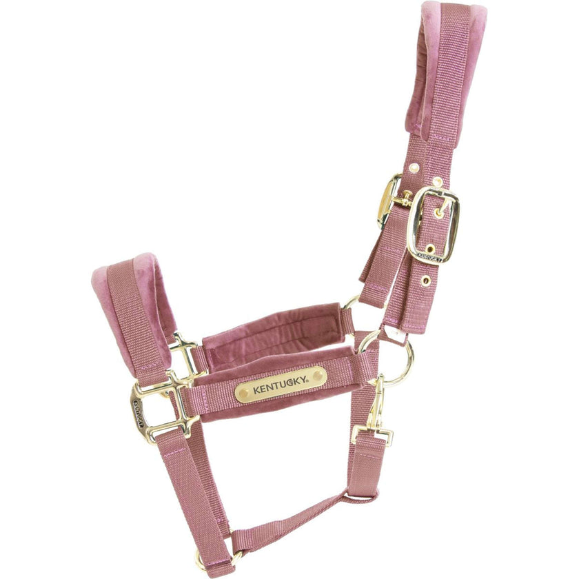 Kentucky Halter Velvet Old Rose