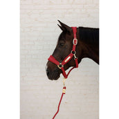 Kentucky Lead Rope Basic Red
