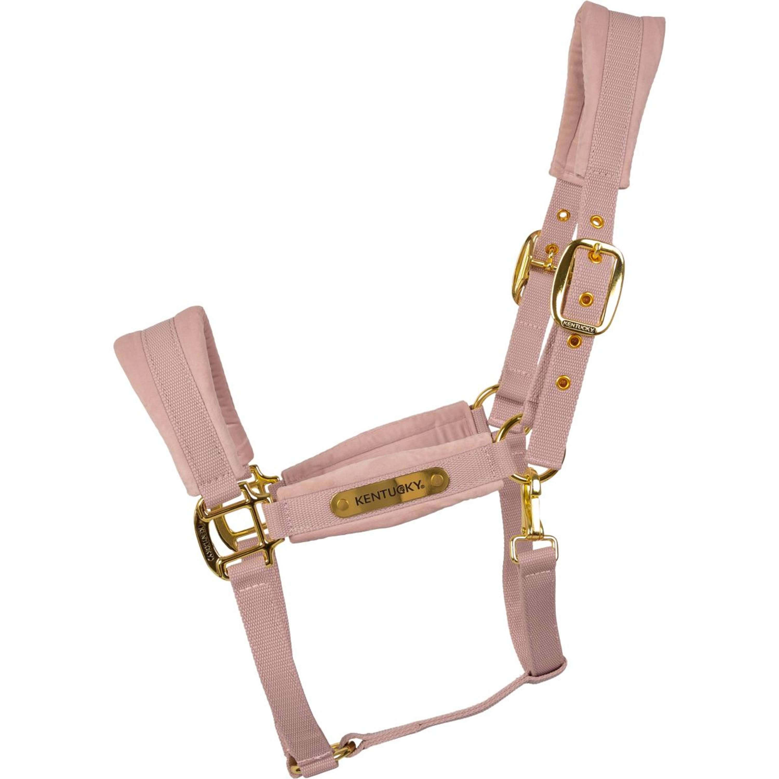 Kentucky Halter Velvet Soft Rose