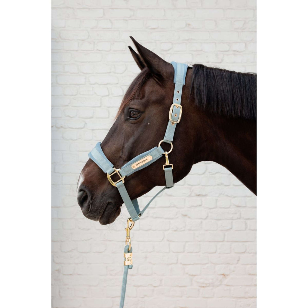 Kentucky Lead Rope Basic Lightblue