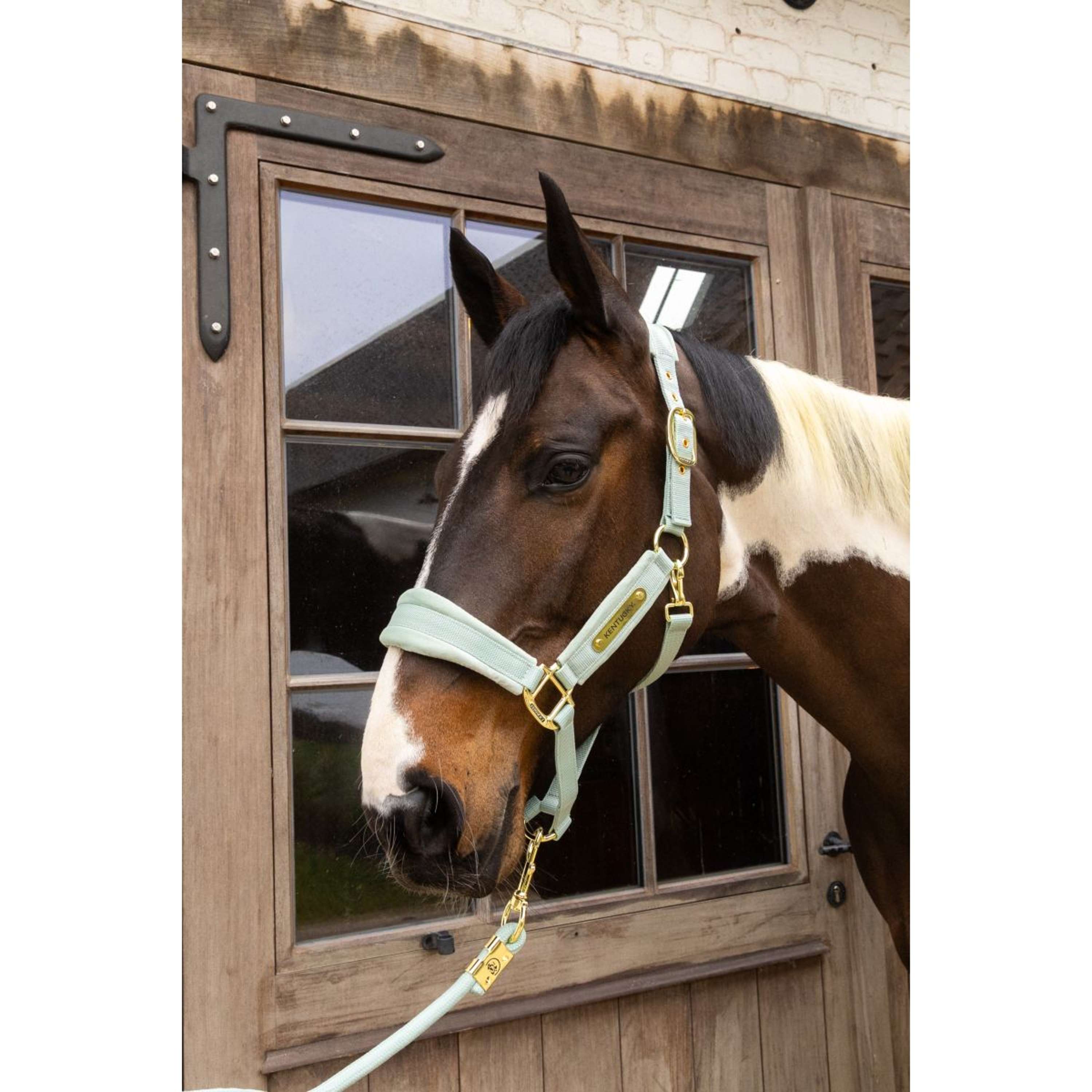 Kentucky Halter Velvet Mint