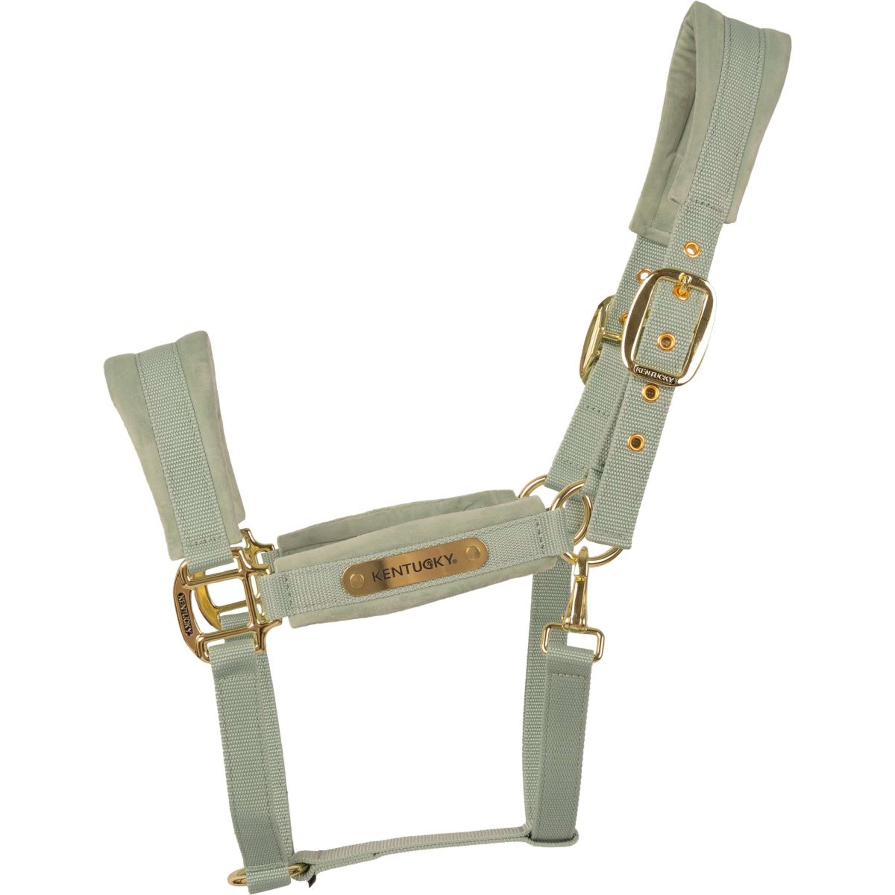 Kentucky Halter Velvet Mint