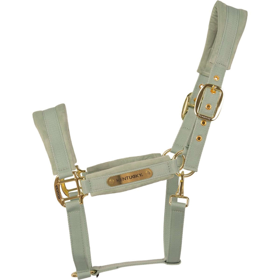 Kentucky Halter Velvet Mint