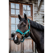 Kentucky Halter Velvet Emerald