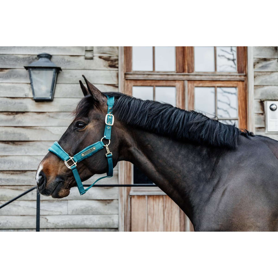 Kentucky Halter Velvet Emerald