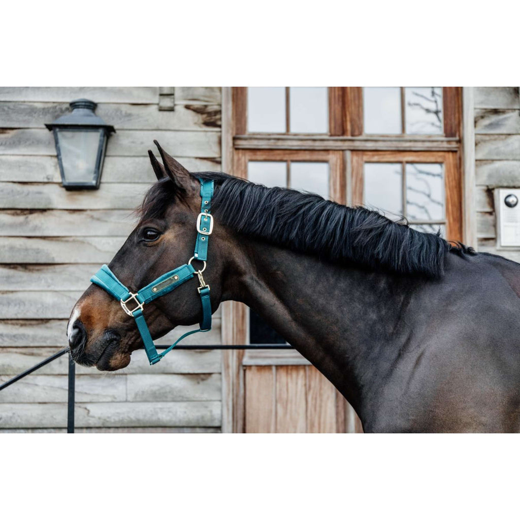 Kentucky Halter Velvet Emerald