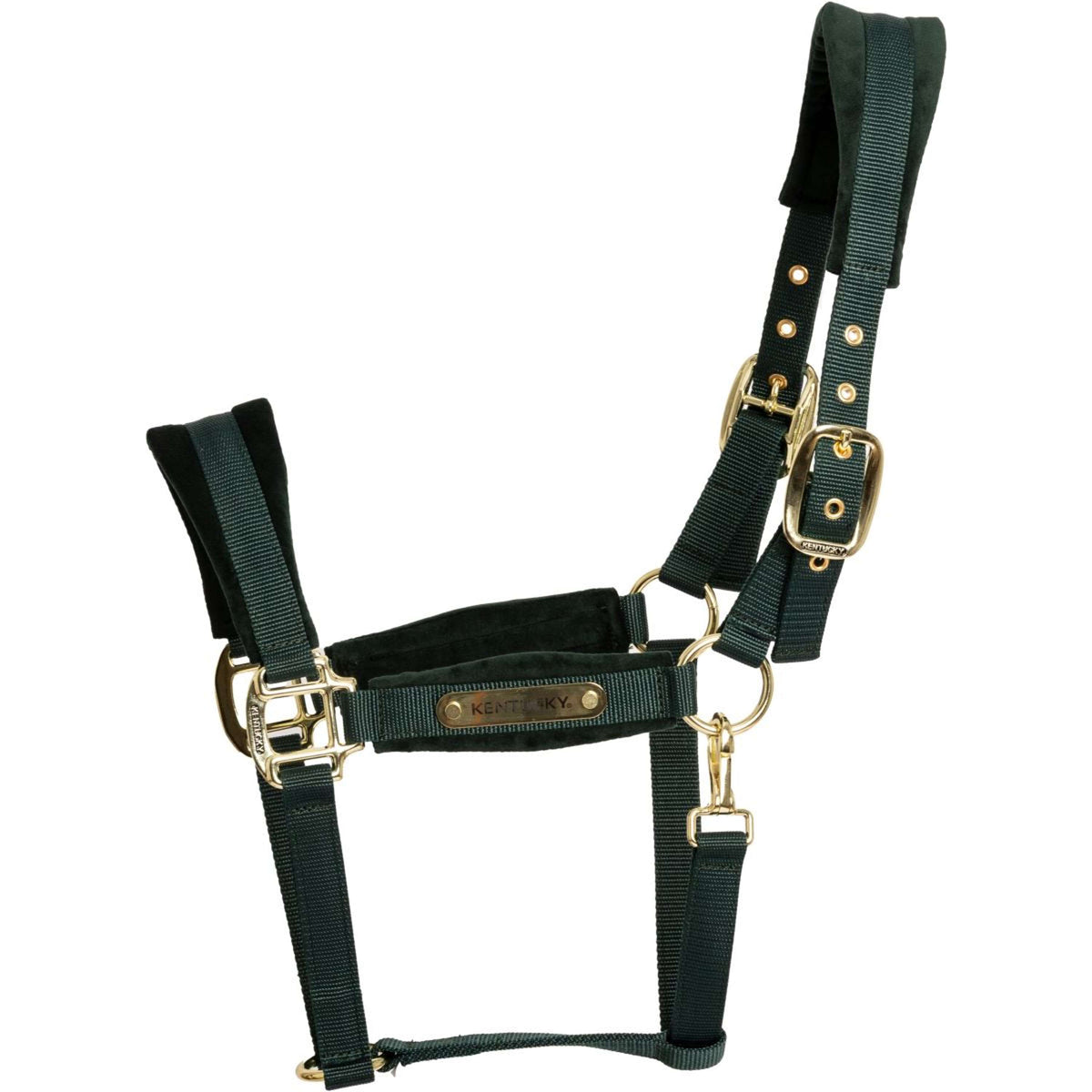 Kentucky Halter Velvet Pine Green