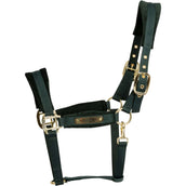 Kentucky Halter Velvet Pine Green