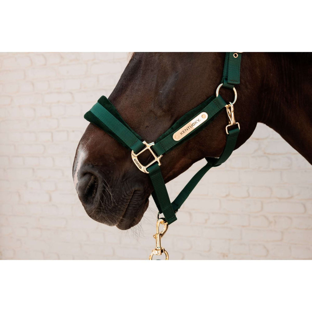 Kentucky Halter Velvet Pine Green