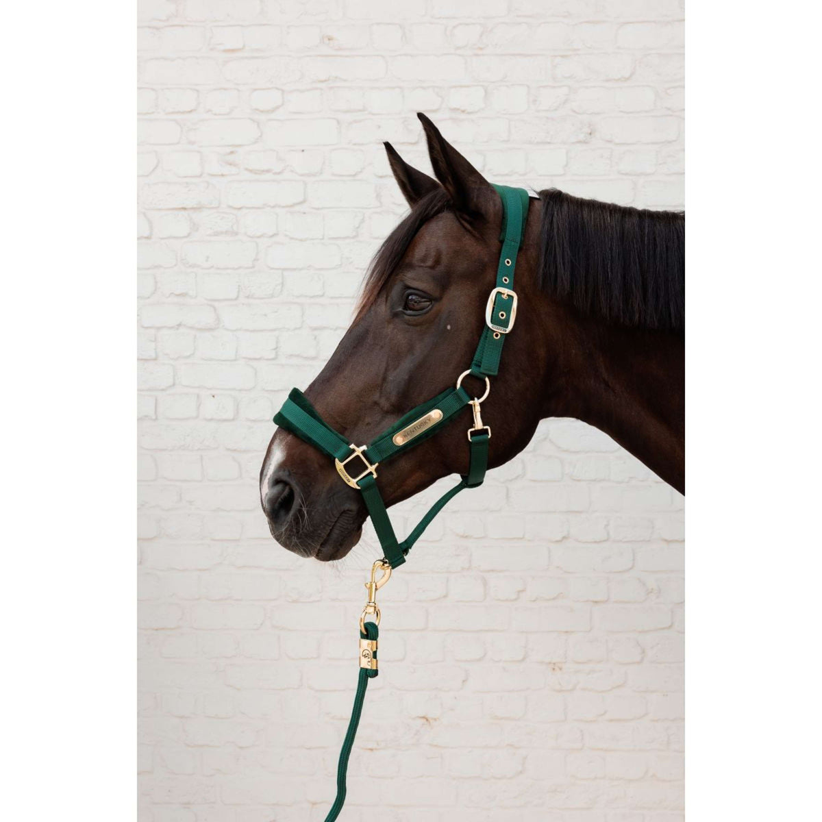 Kentucky Lead Rope Basic Pine Green