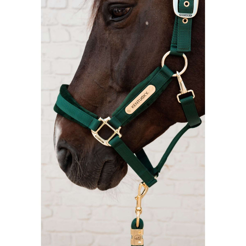 Kentucky Halter Velvet Pine Green