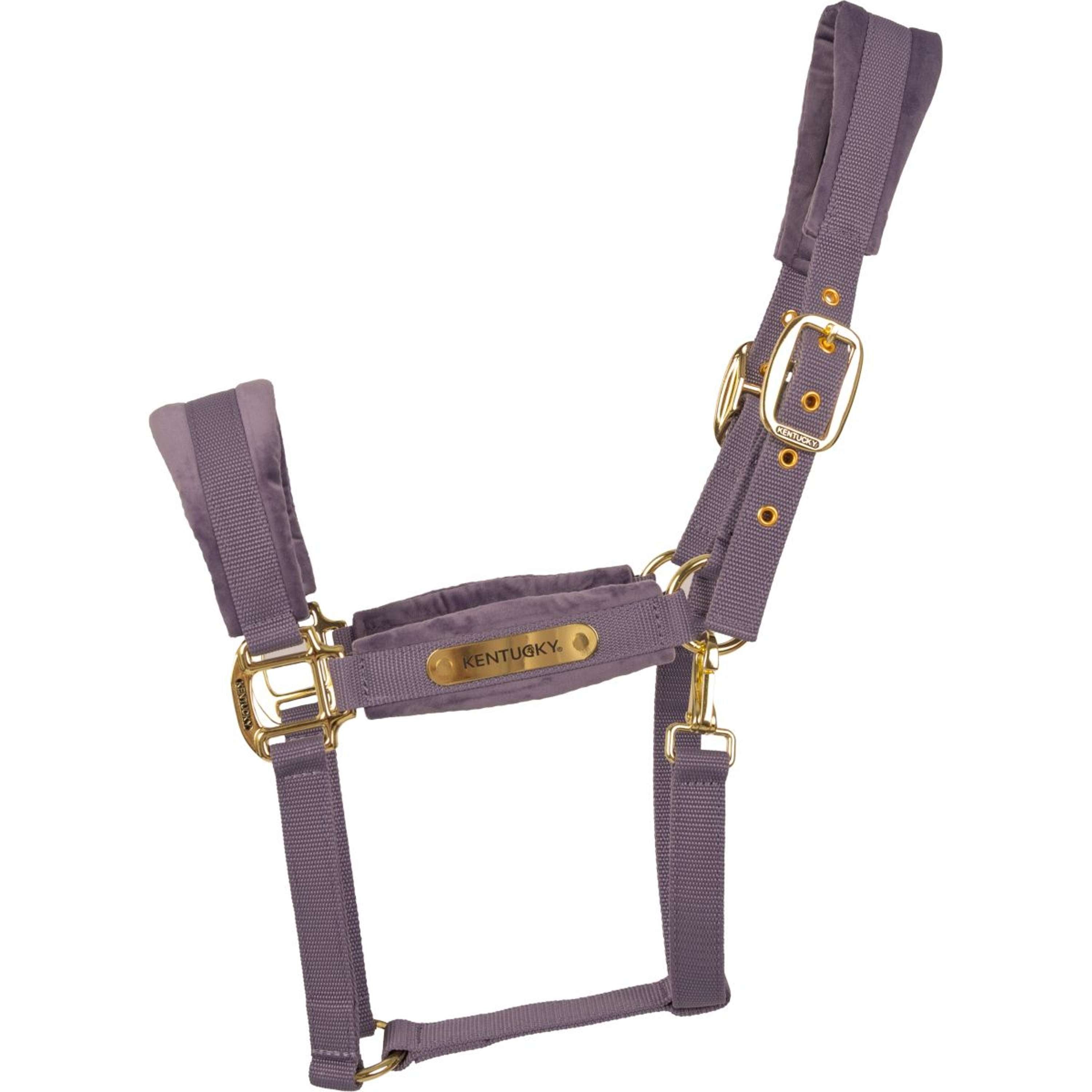 Kentucky Halter Velvet Purple