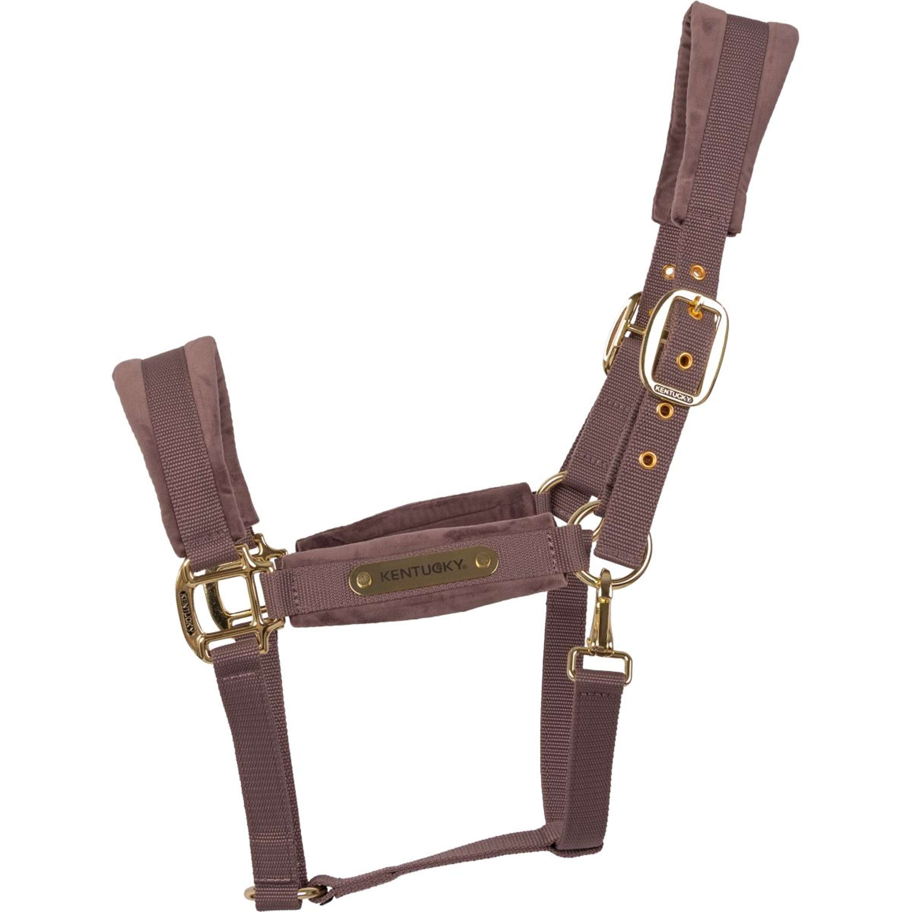 Kentucky Halter Velvet Lilac