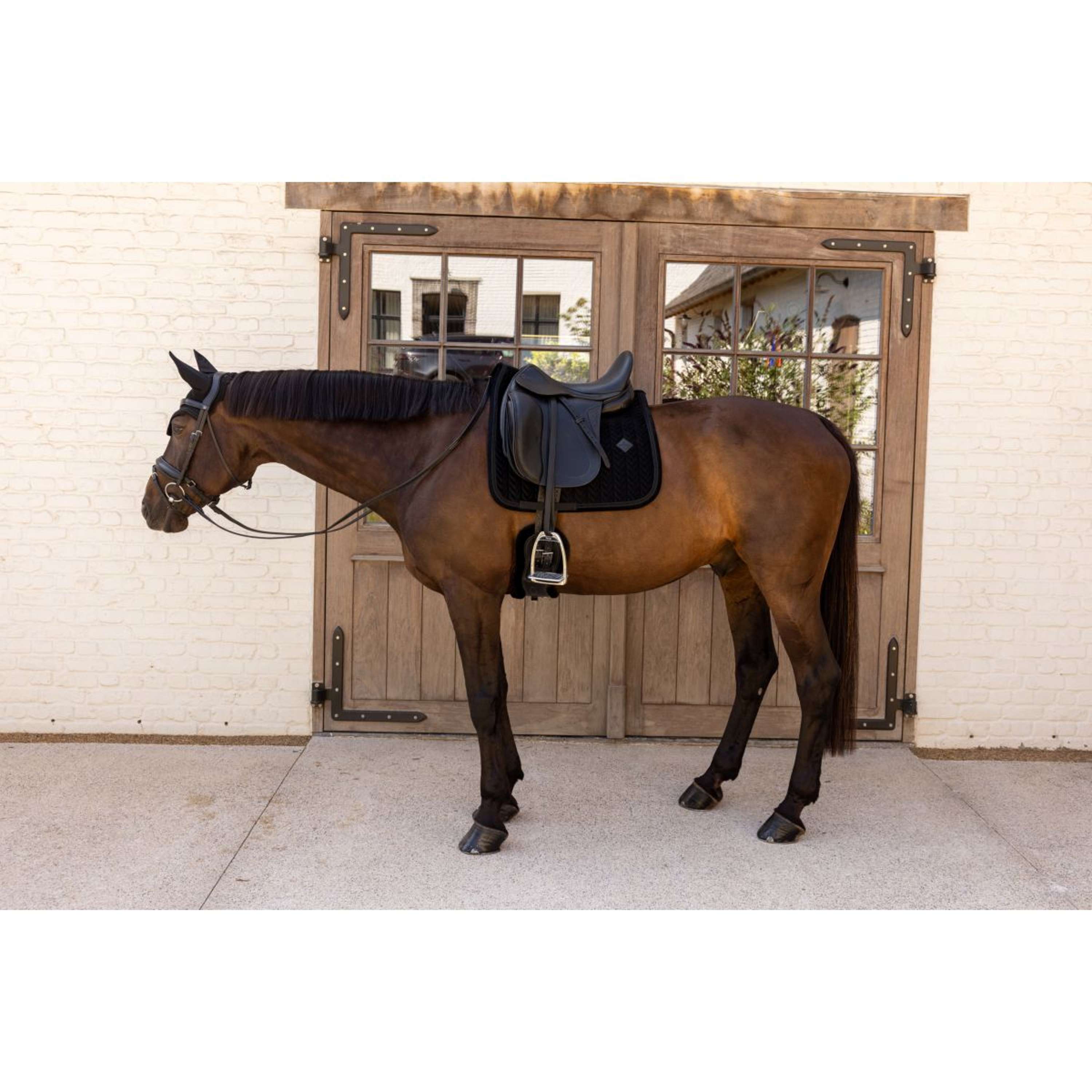 Kentucky Saddlepad Velvet Mini Pearls Dressage Black