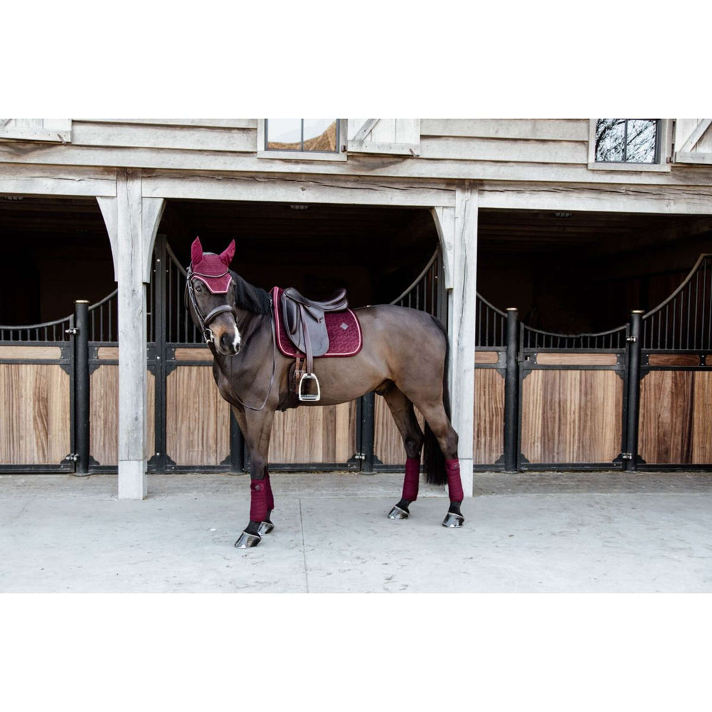 Kentucky Saddlepad Velvet Dressage Bordeaux