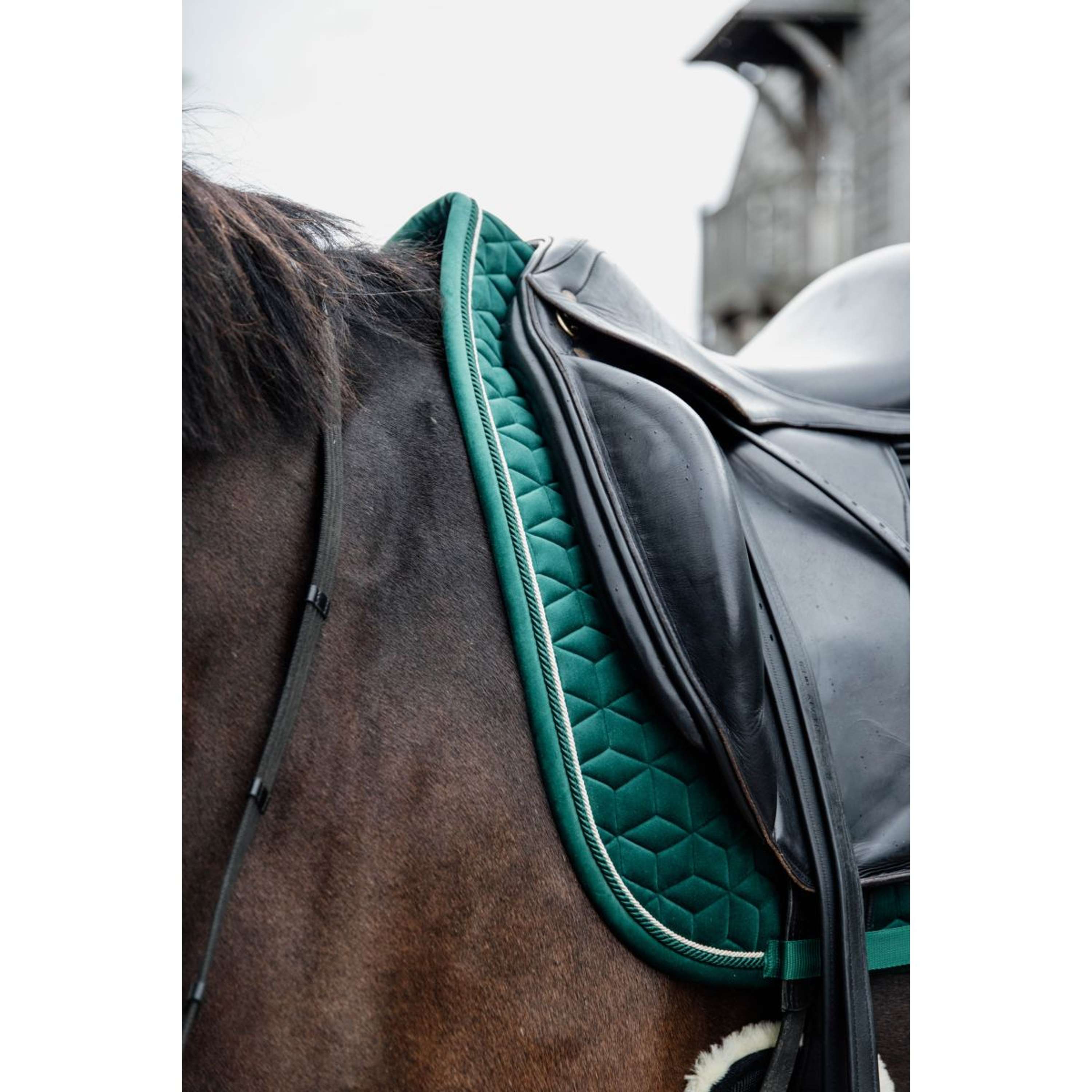 Kentucky Saddlepad Velvet Dressage Dark Green