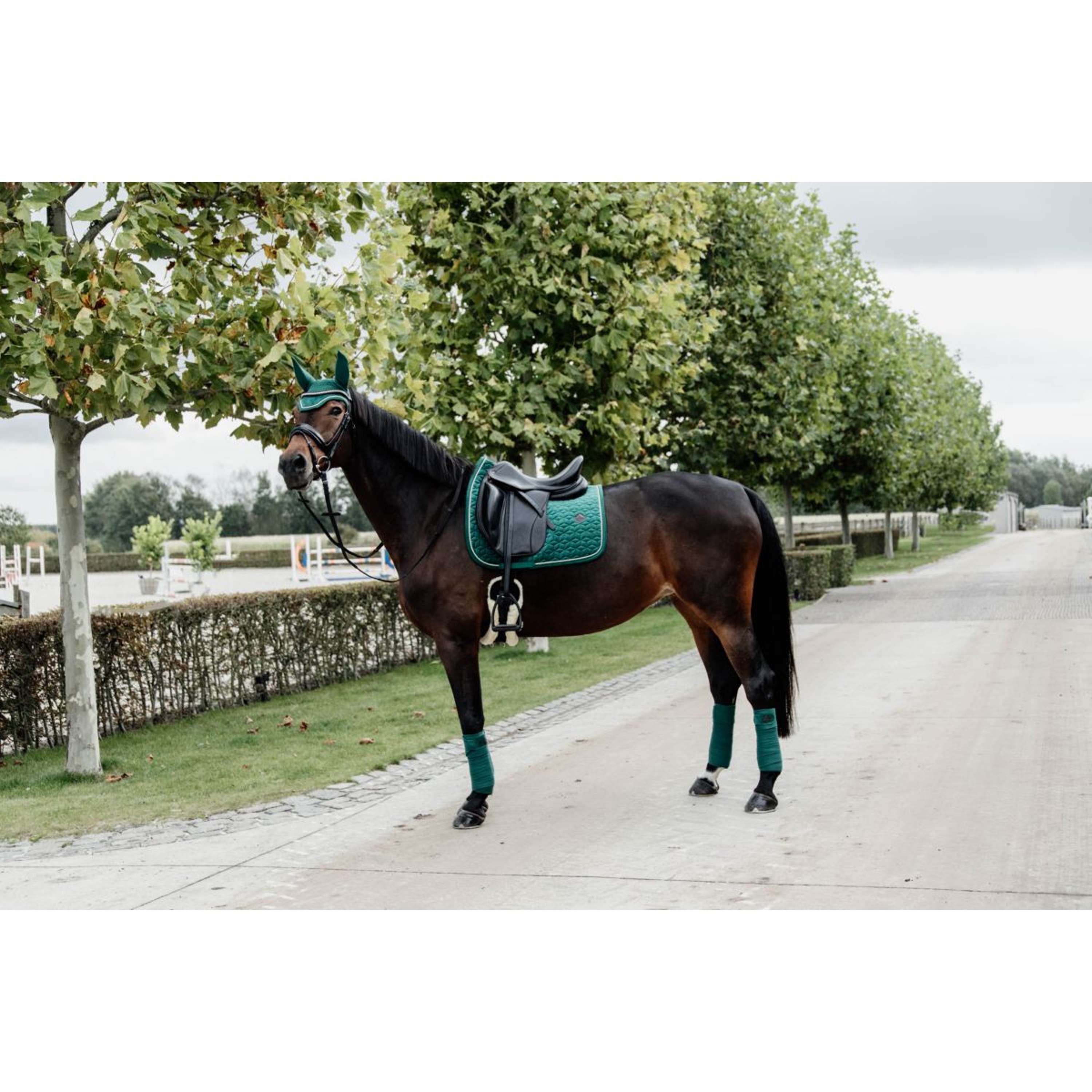 Kentucky Saddlepad Velvet Dressage Dark Green