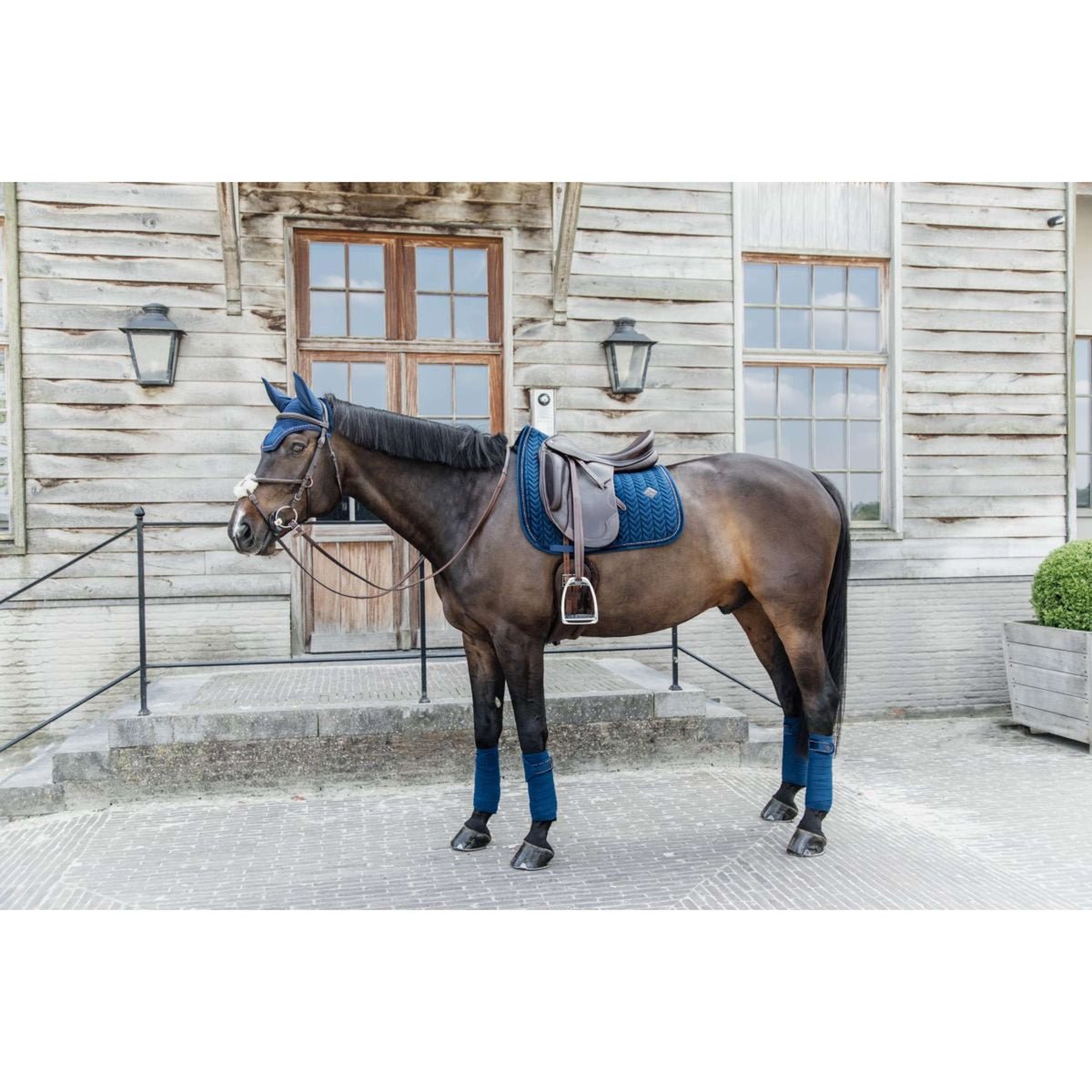 Kentucky Saddlepad Velvet Pearls Dressage Navy