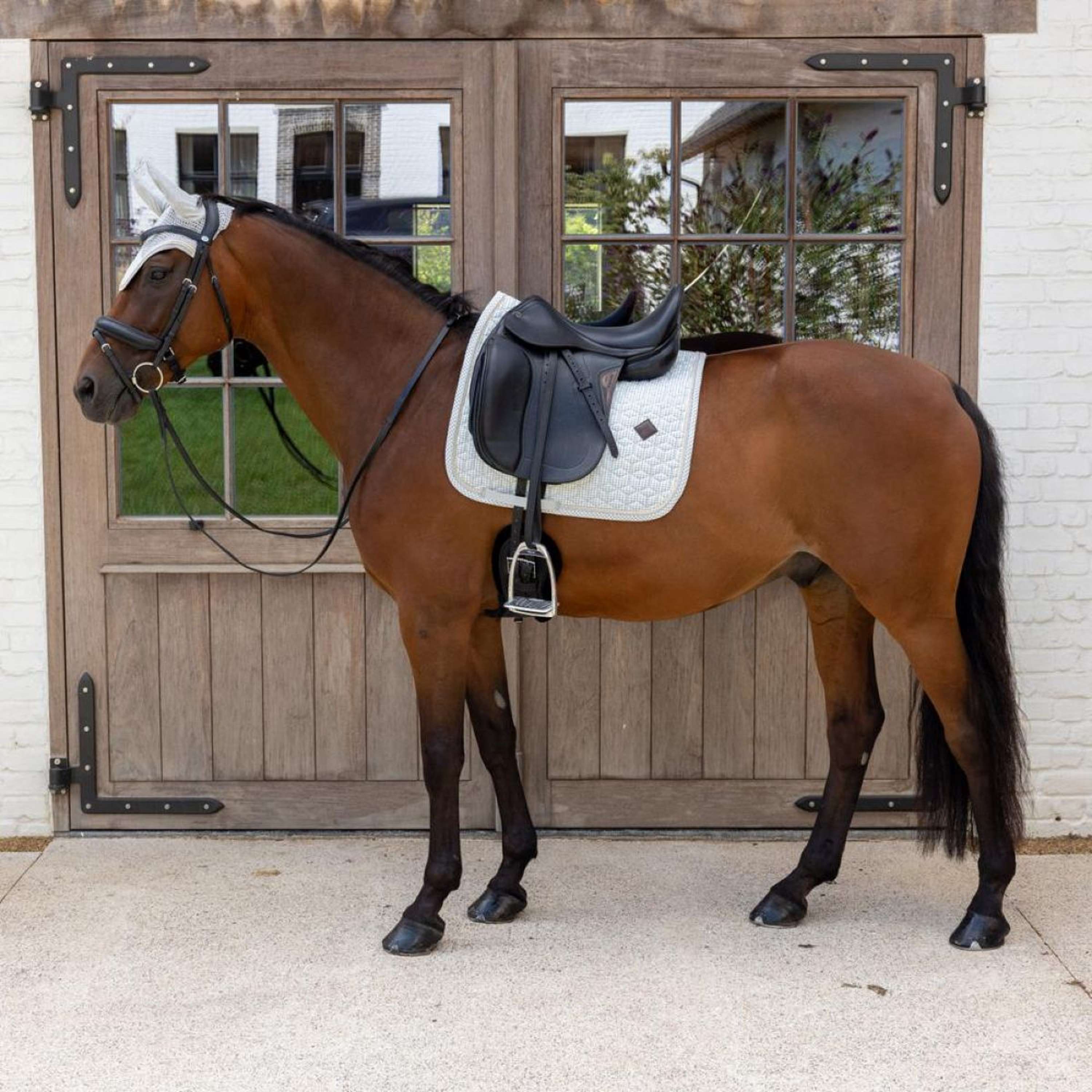 Kentucky Saddlepad Velvet Flags Dressage Lightblue