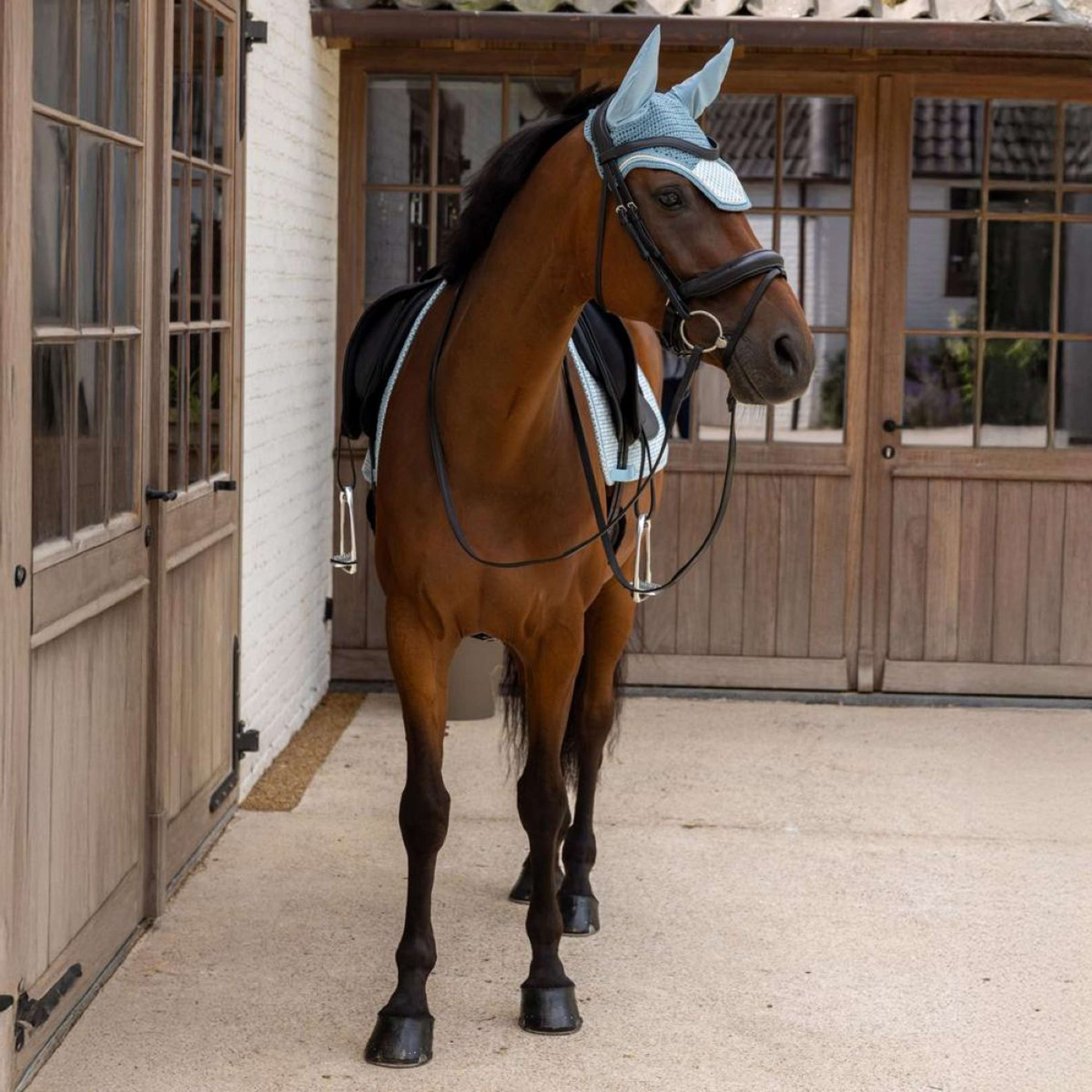 Kentucky Ear Bonnet Wellington Velvet Flags Lightblue