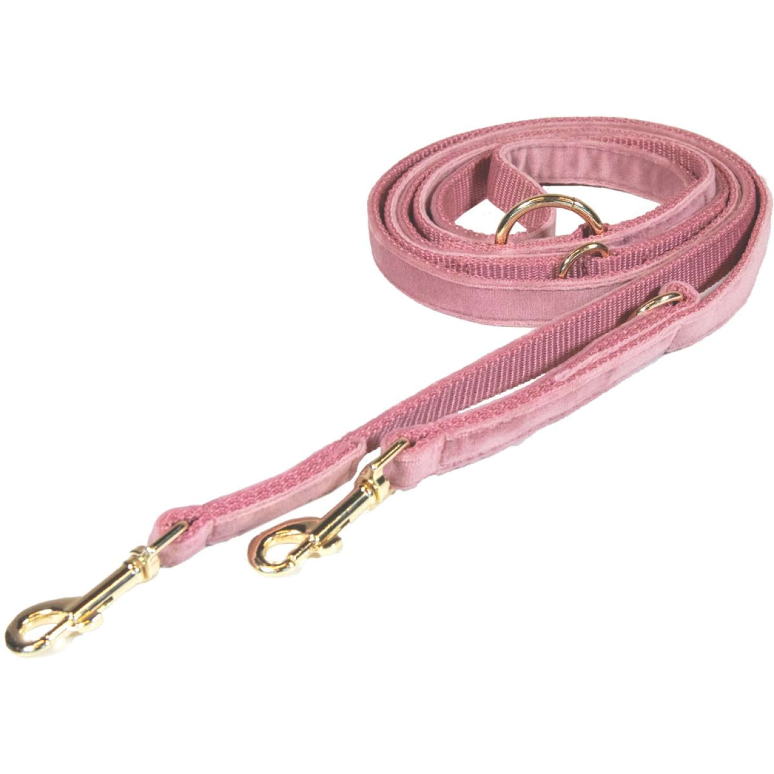 Kentucky Dog Leash Velvet Old Rose Kentucky Dog Leash Velvet Old Rose