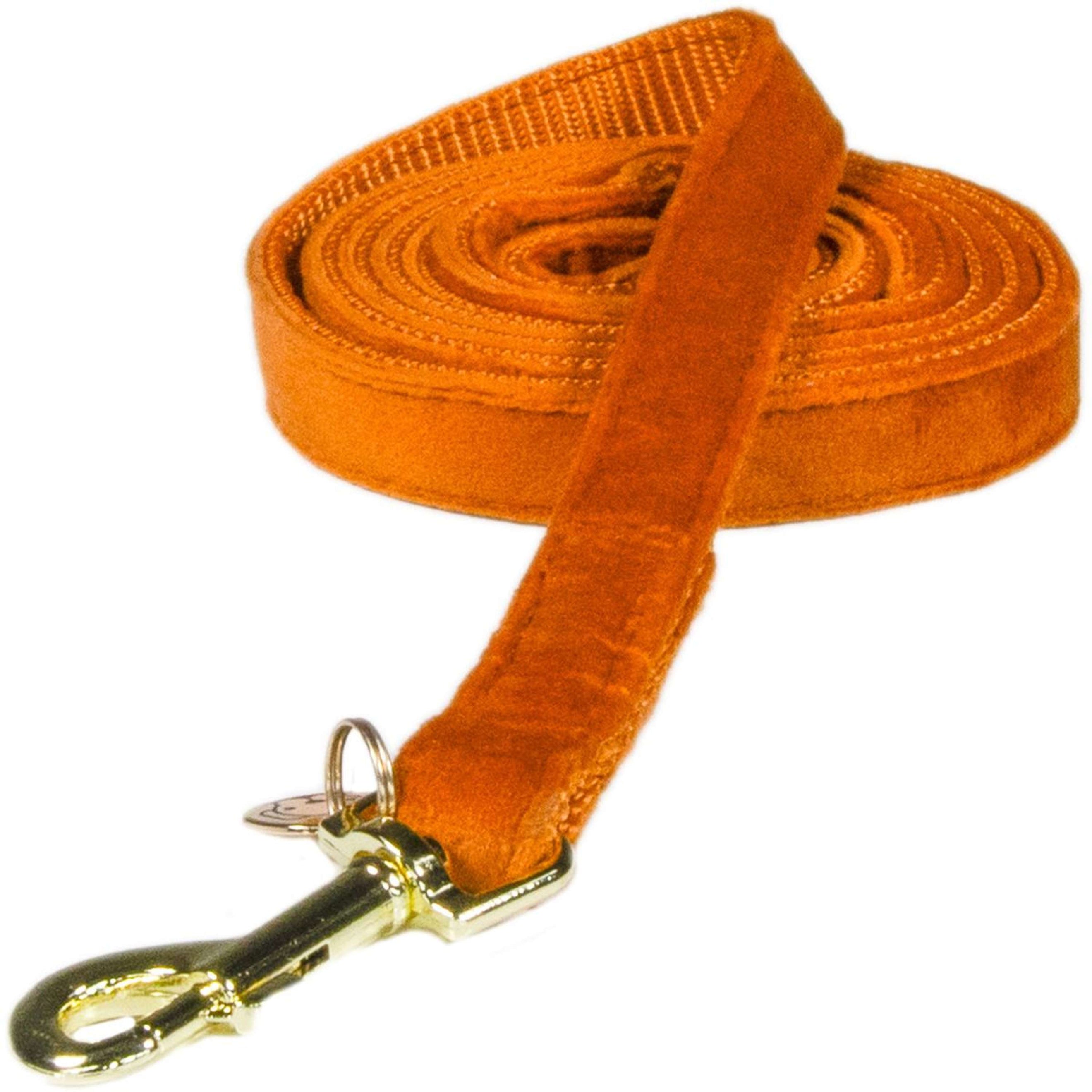 Kentucky Dog Leash Velvet Orange