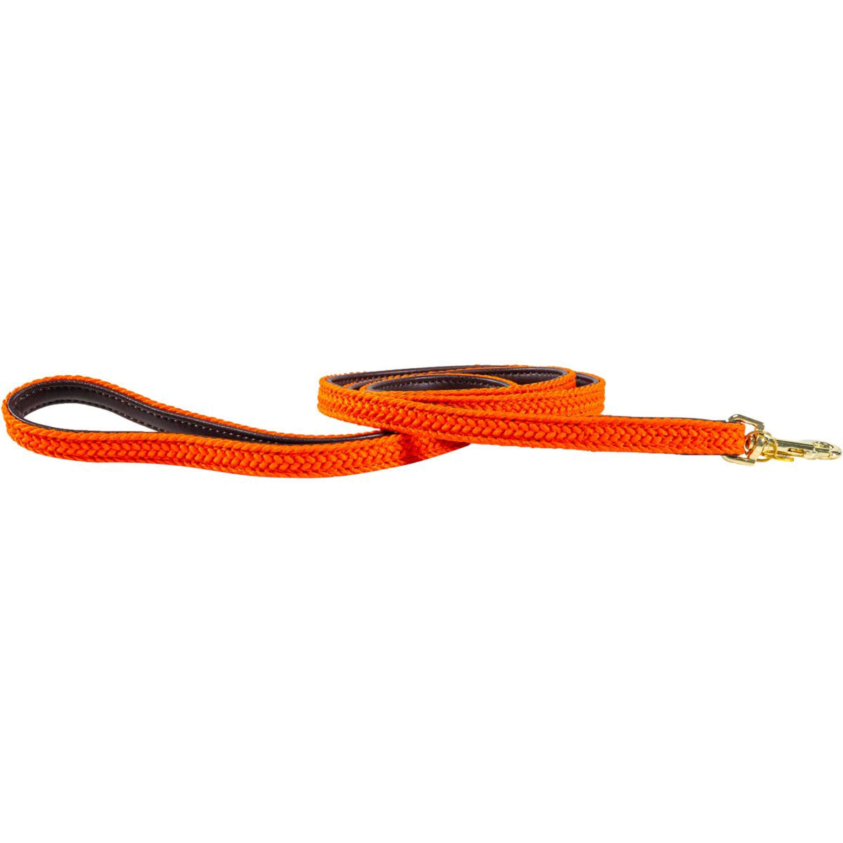 Kentucky Dog Leash Plaited Nylon Orange