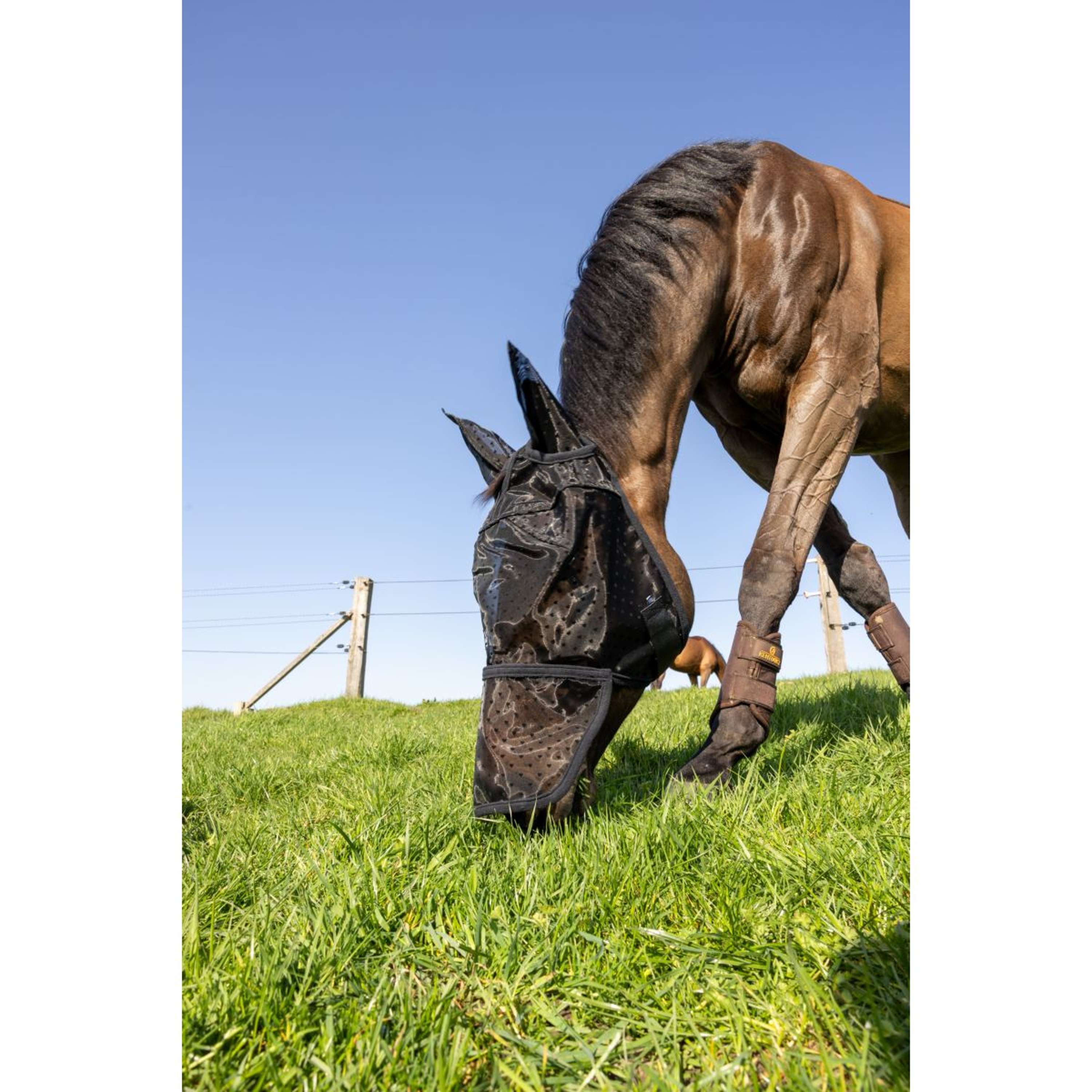 Kentucky Fly Mask Heart with Ears and Nose Black